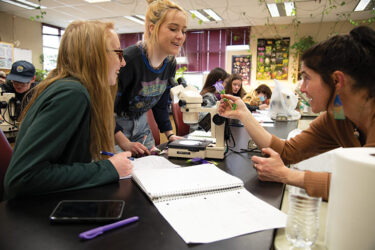 Biology Professor assists students