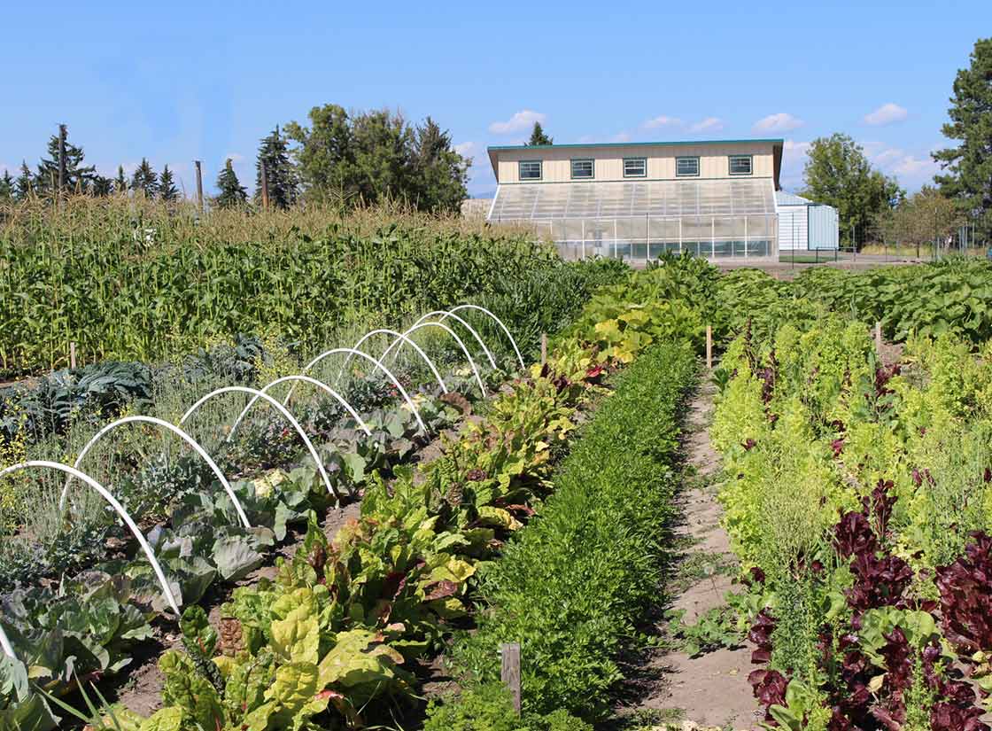 Learning Opportunities