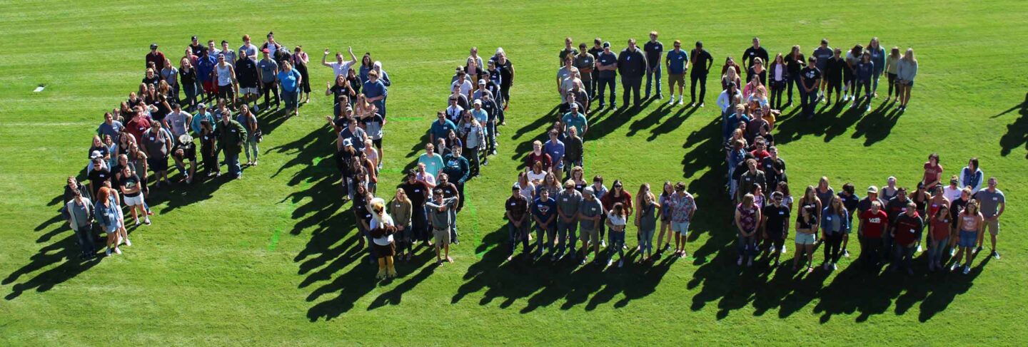 FVCC formation on lawn
