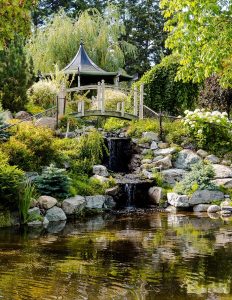 garden gazebo with peaceful pond and green foliage