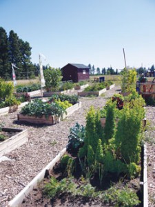 Flathead Community Garden Plot