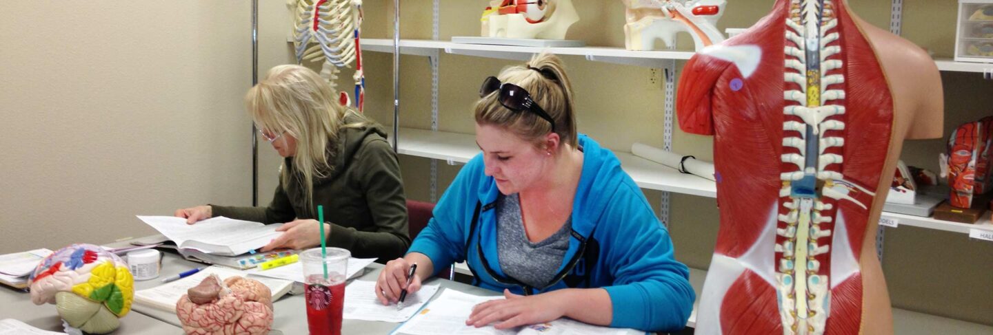 Students studying in anatomy lab