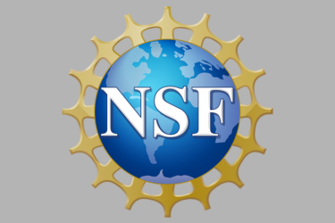national science foundation logo grey background