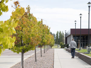 a man walking down a sidewalk on campus next to fall foliage