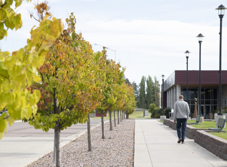a man walking down a sidewalk on campus next to fall foliage