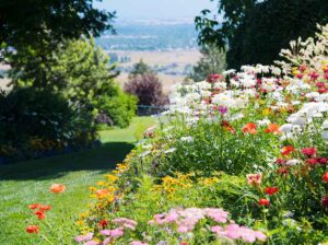 a large garden filled with blooming flowers overlooks a valley