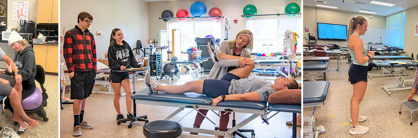 Physical Therapist Assistant (AAS)