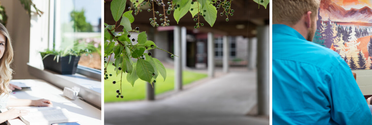 A collage highlighting FVCC’s health and wellness team, featuring a smiling student studying by a window, a peaceful campus walkway with greenery, and a one-on-one counseling session in a welcoming office.