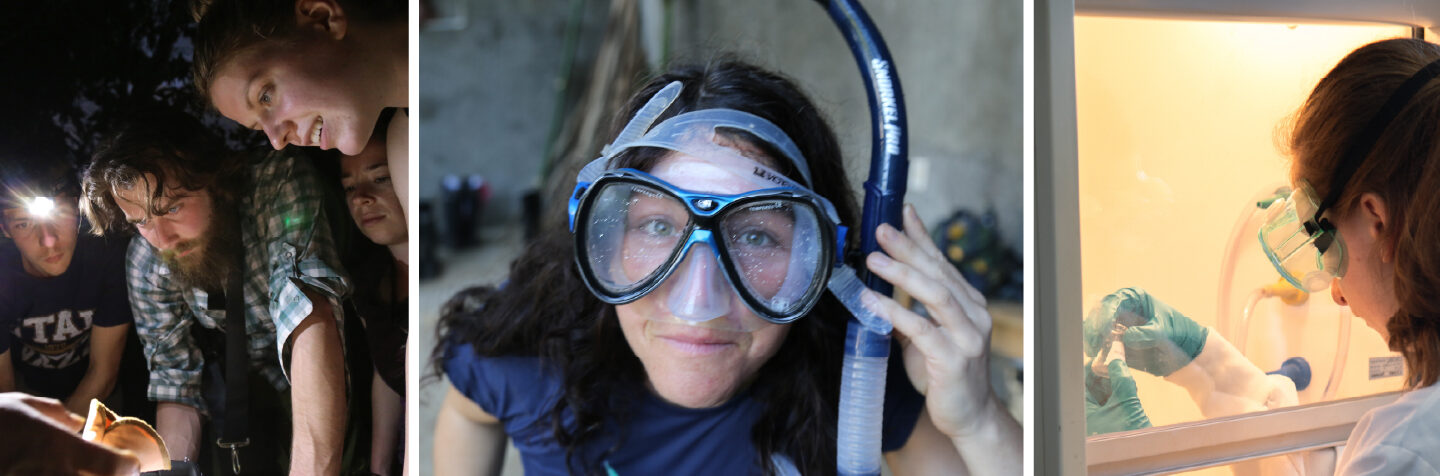 A collage showcasing FVCC prospective student opportunities, with images of students exploring fieldwork at night, preparing for scuba diving, and conducting laboratory research.