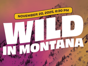 A promotional collage for free events at the Wachholz College Center featuring a scene from Shakespeare’s ‘Richard III’ and a 'Wild in Montana' PechaKucha presentation graphic.